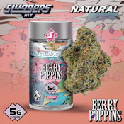 SLUGGERS HIT - 5G Berry Poppins (H)