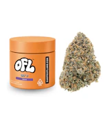 OFL- 7G OFL Z (I)
