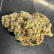 Zesty Parm - Flower - 3.5 g - 1 ct - Northpark