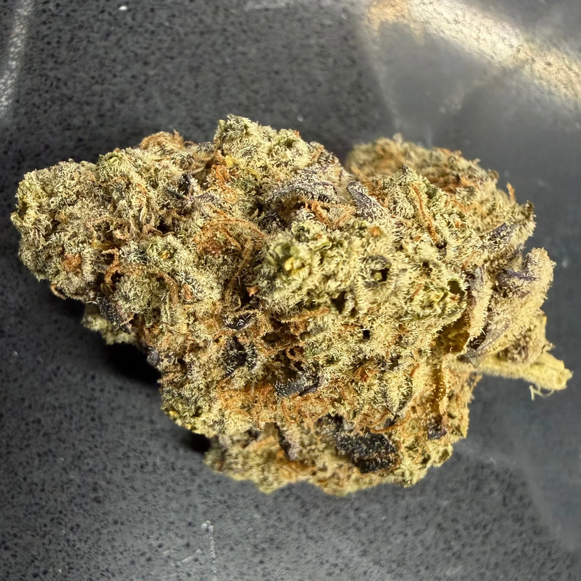Northpark - Zesty Parm - Flower - 3.5 g - 1 ct - Northpark Main Image