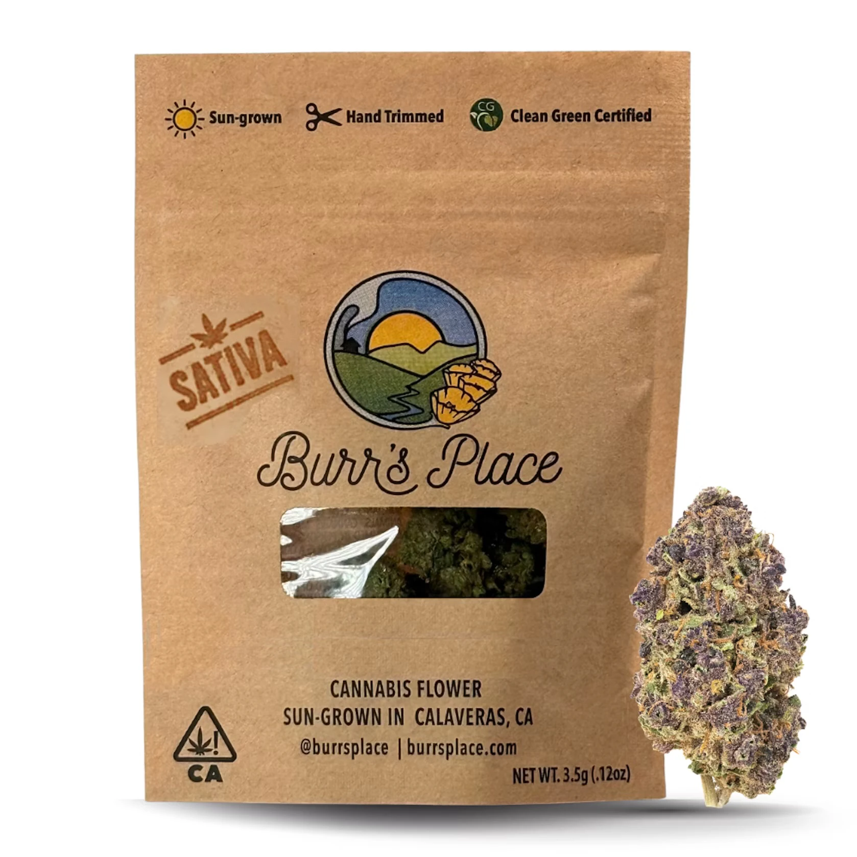 Burr's Place - Burr's Place - Flower - Sun Grown - Gazzurple - 3.5g Main Image