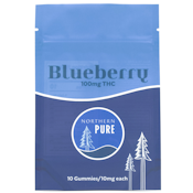 Blueberry Gummies | 100mg