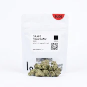 Lolo - Flower - Indoor - Grape Headband Black Bag - 3.5