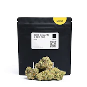 Lolo - Blue Gelatti x Red Pop 14g