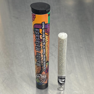 Apex Solventless - Malibu Malasada | 1.5g Baby Dino Doink