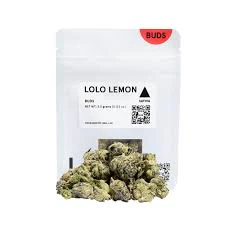 lolo - Lolo - Flower - Indoor - Lemon Drop Buds Bag - 3.5g Main Image