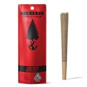 Big Tree - Preroll - Sun Grown - Mango Haze 5pk - 5g