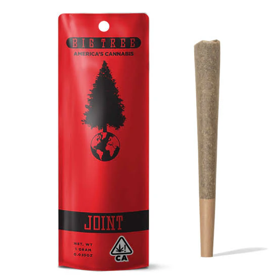 Big Tree - Big Tree - Preroll - Sun Grown - Mango Haze 5pk - 5g Main Image