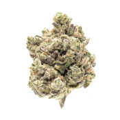 Status - Flower - Indoor - Rainbow Zushi - 1g