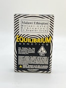 Equilibrium Malawi Ethiopian Regular Seeds 12pk ND