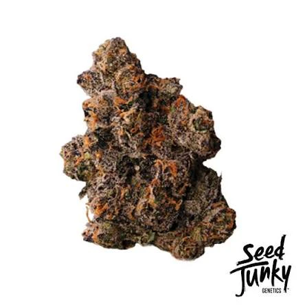 Seed Junky - Seed Junky - Red Eye - 3.5g Main Image