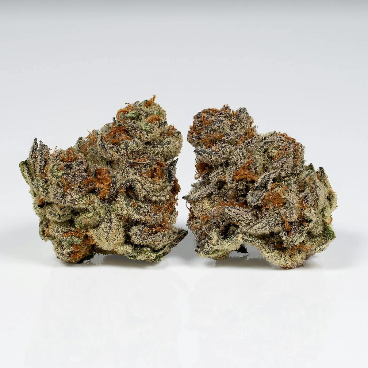 L.A. FAMILY FARMS - LA FAMILY FARMS - Flower - Whiplash - 3.5g Main Image