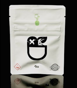 DAFT REPUBLIC - Daft Republic - Black Garlic 1g