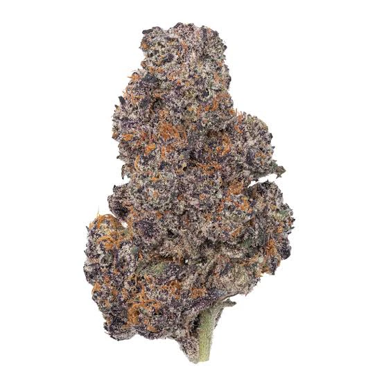 PHASES - Phases - Flower - Gorilla Cookies - Mediums - 7g Main Image
