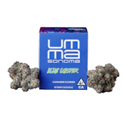 UMMA - Flower - Blue Lobster - Hybrid - 3.5g