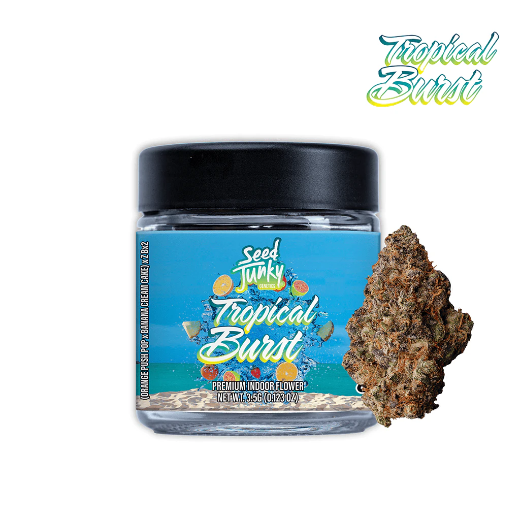 Seed Junky - Seed Junky - Flower - Tropical Burst - Sativa - 3.5g Main Image