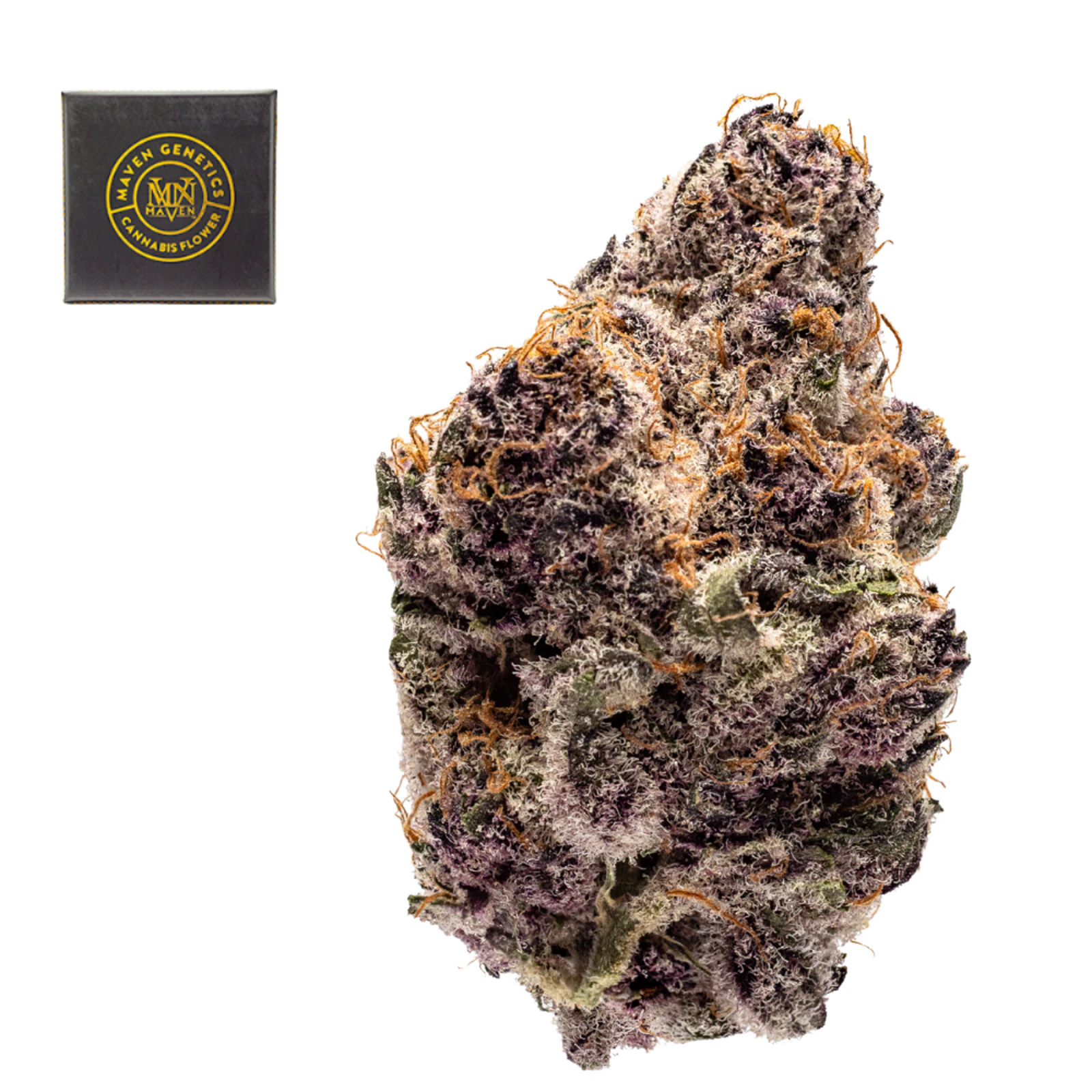 Maven Genetics - Maven Genetics - Flower - Black Lotus - 14g Main Image