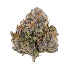 TEDS BUDZ - Ted's Budz - Flower - Platinum Z - 3.5g Main Image