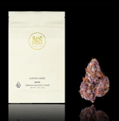 MAVEN 14G Umami Butter Indoor Smalls Flower