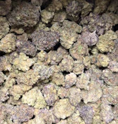 Stay Lit- Atlas Mendo Breath Deli Style