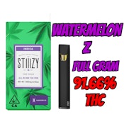 Watermelon Z Disposable 1g