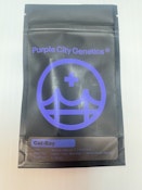 Purple City Cel-Ray Feminized Seeds 6pk ND