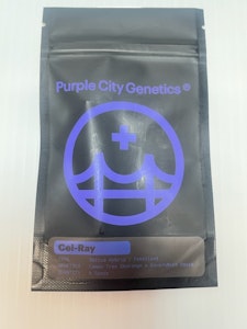 PURPLE CITY GENETICS - SALE Purple City Cel-Ray Feminized Seeds 6pk ND