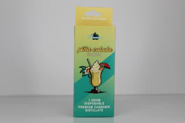 Amnesia | Pina Colada Disposable Vape | 1G