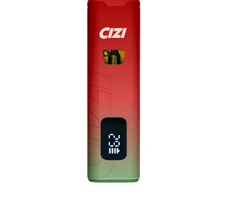 Cizi - Cizi 1G AIO Watermelon Mint Disposable