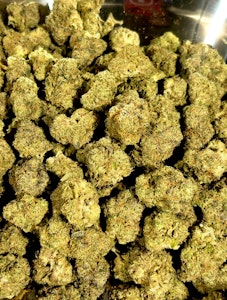 Process Management Control - PMC- Spearmint Style Deli Flower