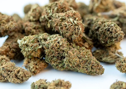 SIMPLY SOL - Simply Sol | Payton's Strawberries