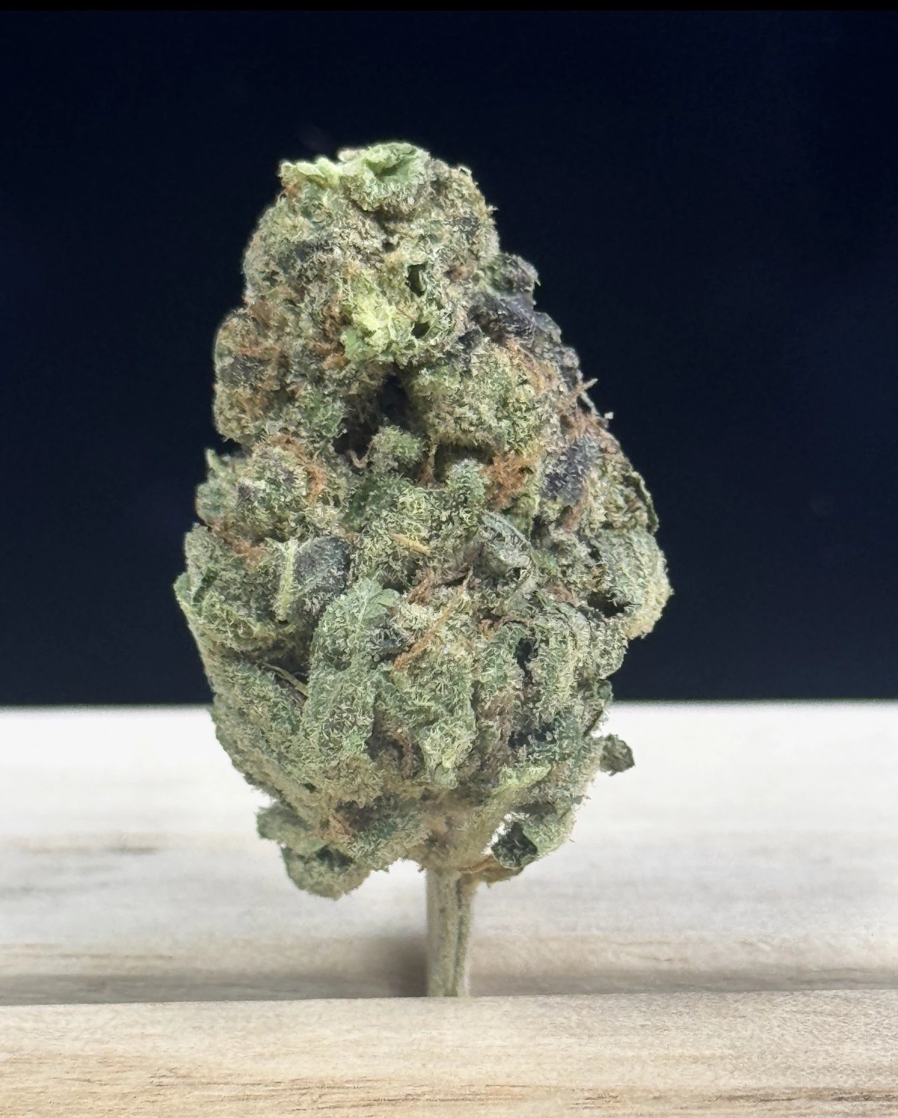 Hu Ki' Ku - Hu Ki' Ku - Toranja - Flower - 14G Main Image