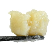 Live ROSIN Ichigojamu DAF