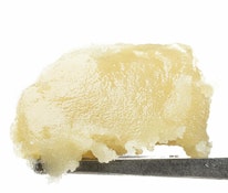 Live ROSIN Amarello DAF