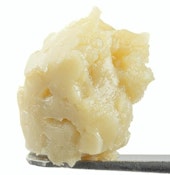 Live ROSIN No Honey No problem DAF