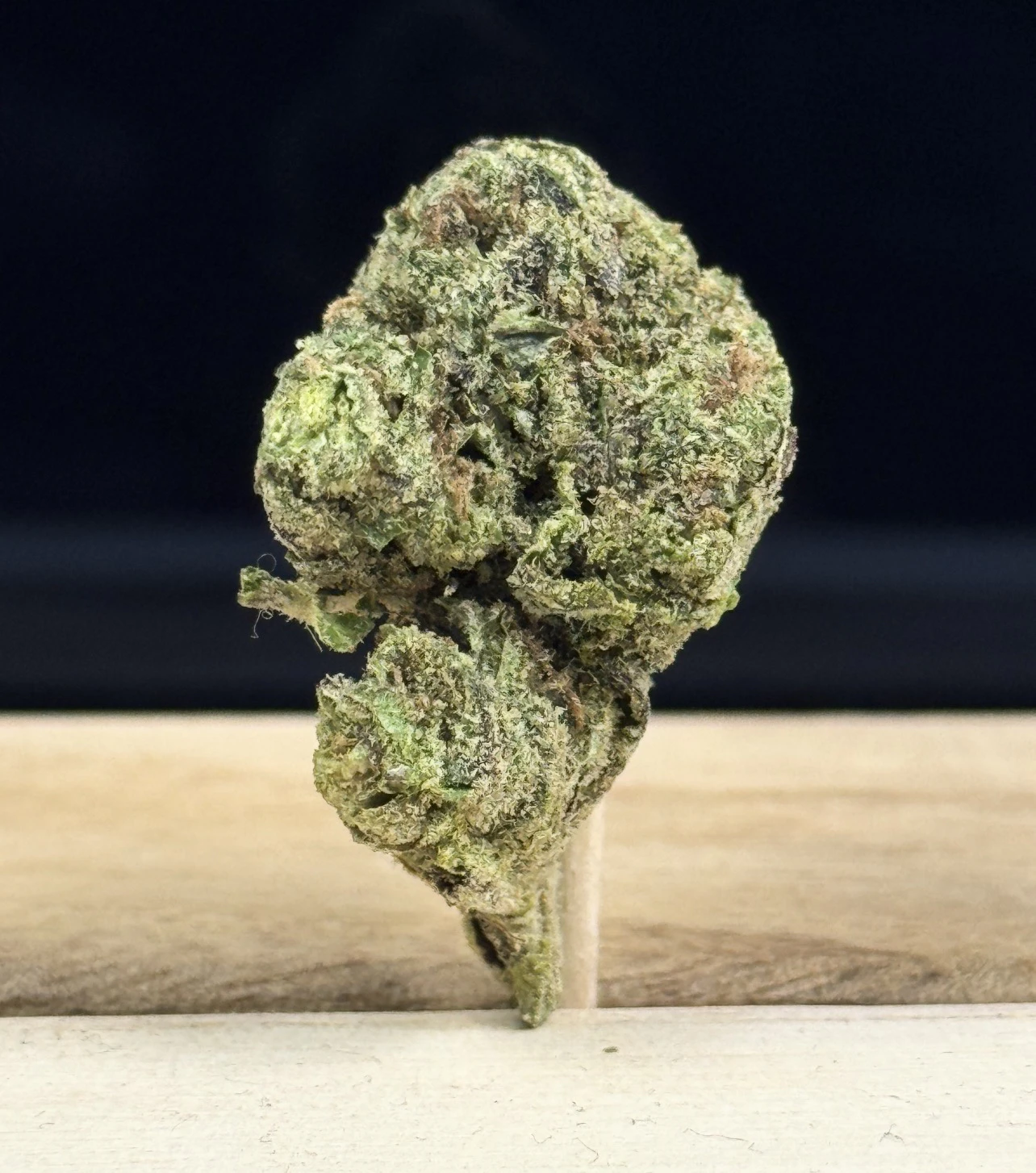 Hu Ki' Ku - Hu Ki' Ku - Gangster Runtz - Flower - 3.5G Main Image
