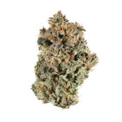 Pruf Cultivar Astral Works - $72OZ