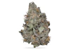 Product Preview Image 2