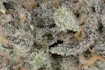 Product Preview Image 1