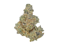 Hecate Gardens Tropicooler