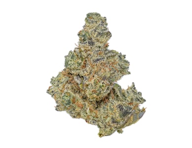 Hecate Gardens - Hecate Gardens Tropicooler