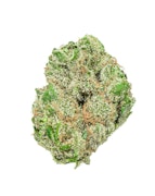 Hecate Gardens Santa Marta Gold