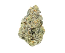 Pruf Cultivar Electric Blue #3