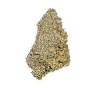 Grass Roots Nursery Acai Gelato