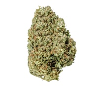 Grass Roots Nursery Modified Grapes