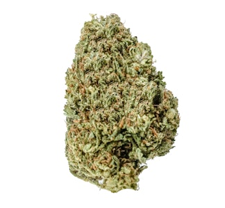 Grass Roots Nursery - Grass Roots Nursery Modified Grapes