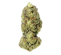 Grass Roots Nursery Wonder Dawg