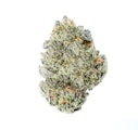 Excolo Tropical Runtz