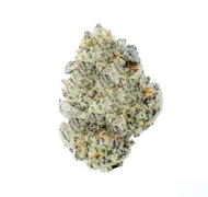 Excolo Tropical Runtz