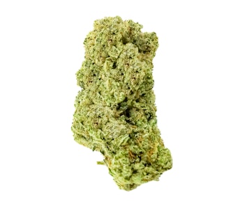 Excolo - Excolo Sticky Glue